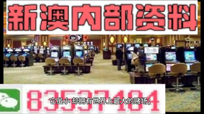 2024澳门免费精准资料｜精选解释解析落实