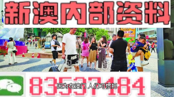 2024新澳精准资料免费提供下载｜精选解释解析落实