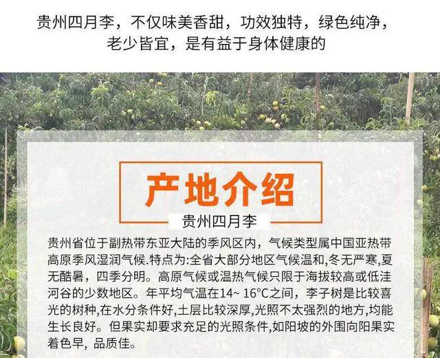 2024今晚香港开特马开什么六期｜精选解释解析落实